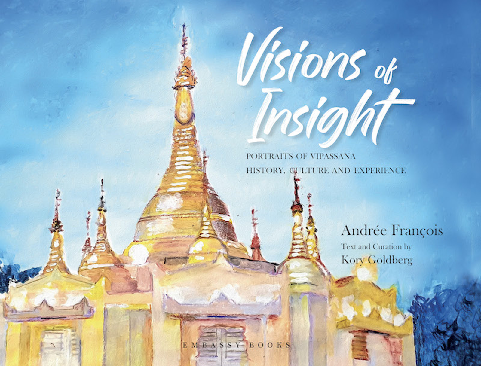 Visions of Insight Portraits of Vipassana History, Culture and Experience